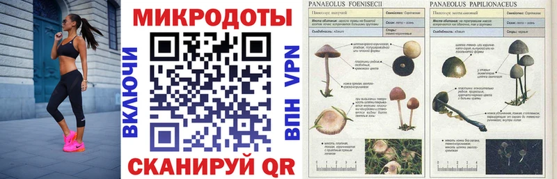 Галлюциногенные грибы прущие грибы  Ардатов 