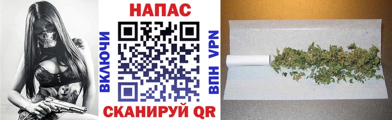 Каннабис конопля  наркотики  Ардатов 